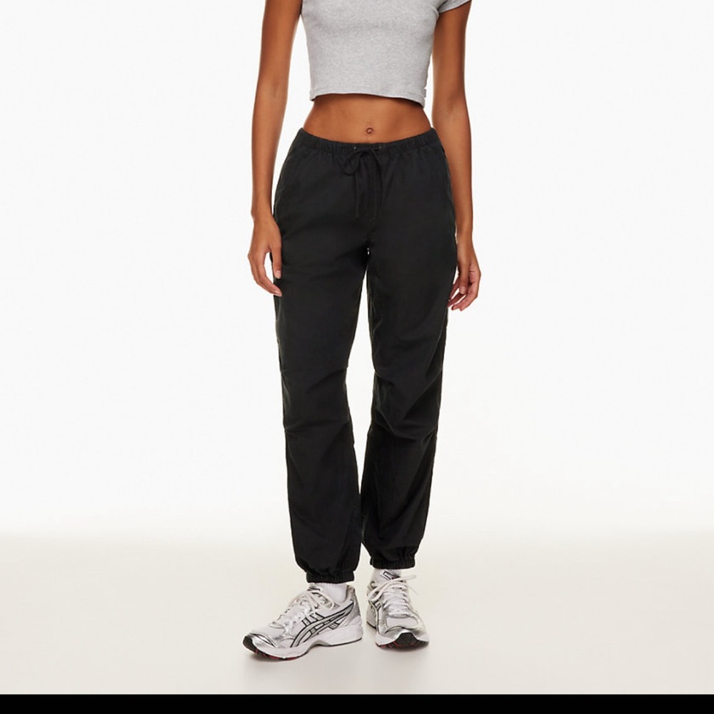 COPY - Aritzia cargo pants
